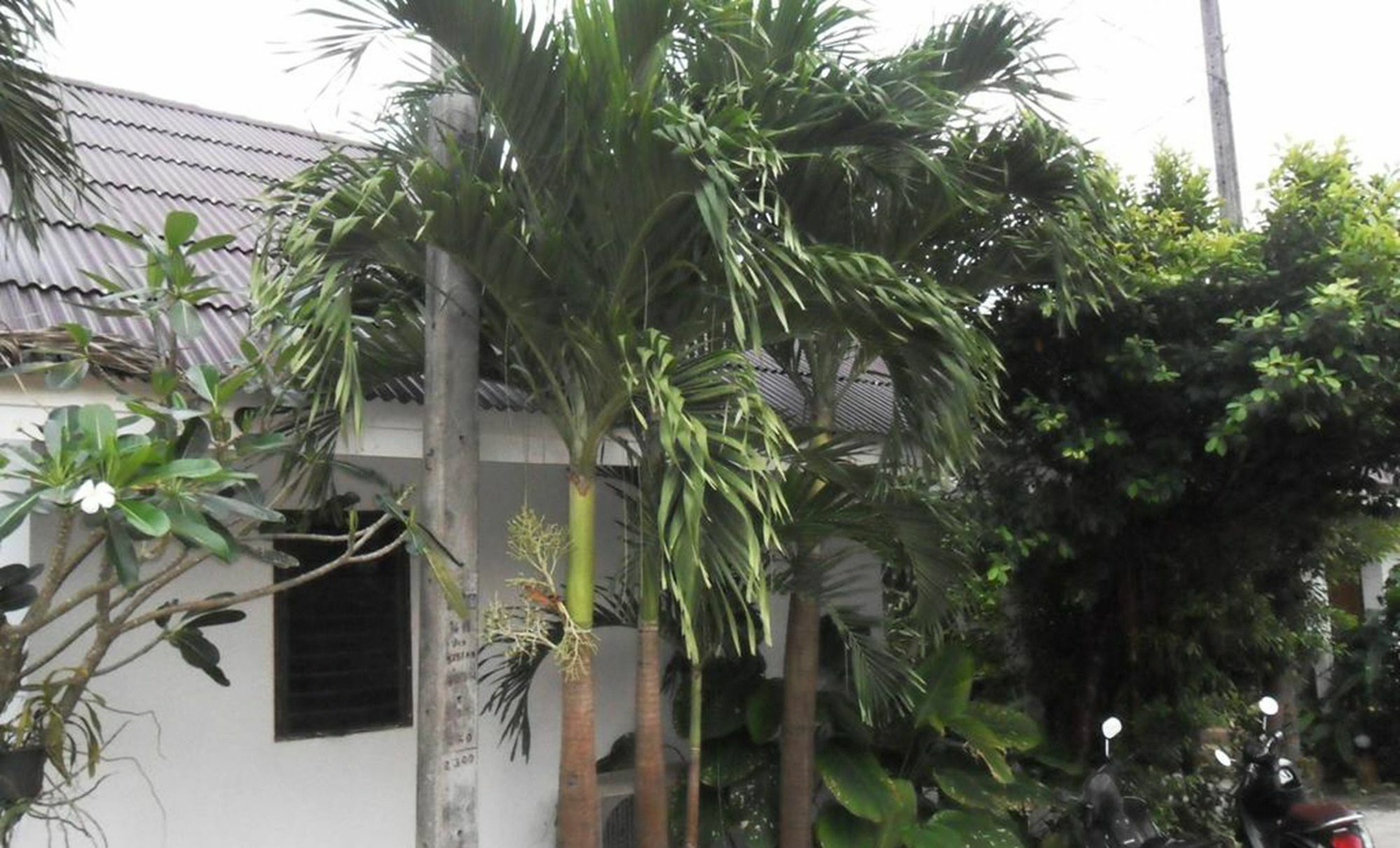 Aonang Sr Bungalows Ao Nang Eksteriør billede